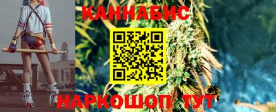 крисы Коммунар