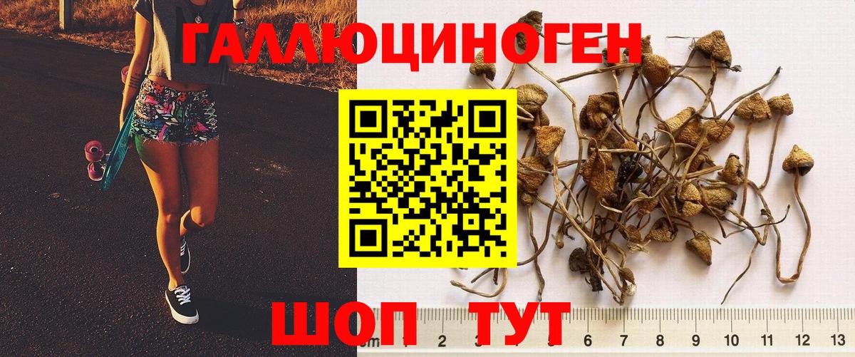 хочу наркоту  Вход с VPN  Коммунар  Псилоцибиновые грибы Cubensis 